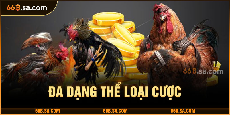 Trải nghiệm đa dạng loại hình cược kê kịch tính