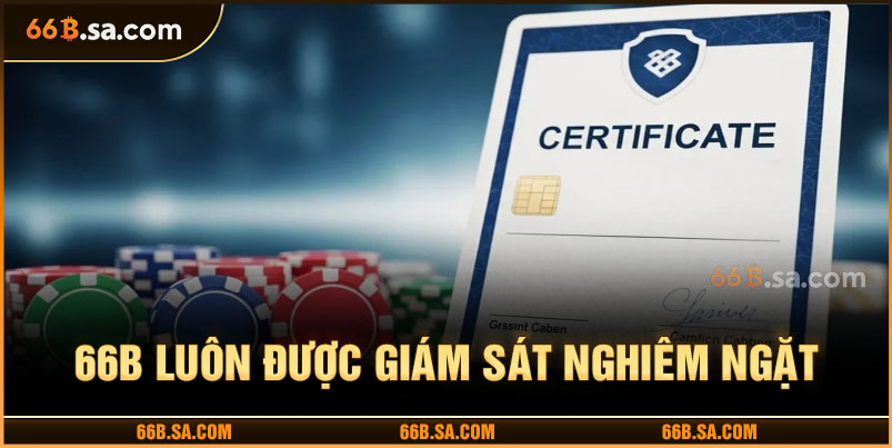 Quy trình cấp giấy phép hoạt động và giám sát 66B