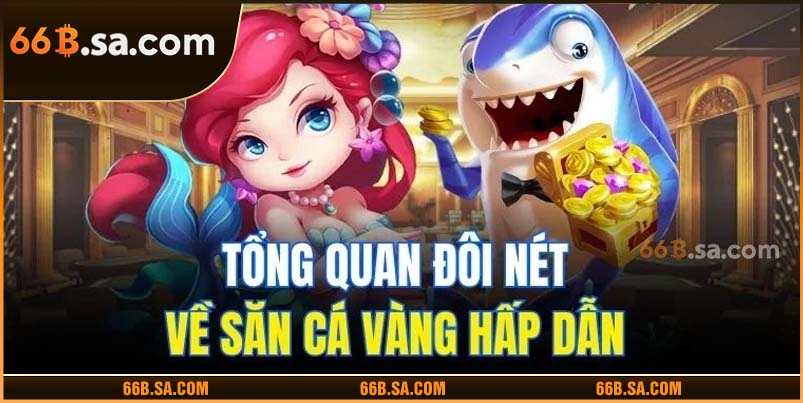 Tổng quan đôi nét về săn cá vàng hấp dẫn